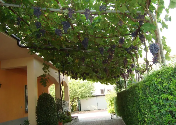 B&B Esperanca