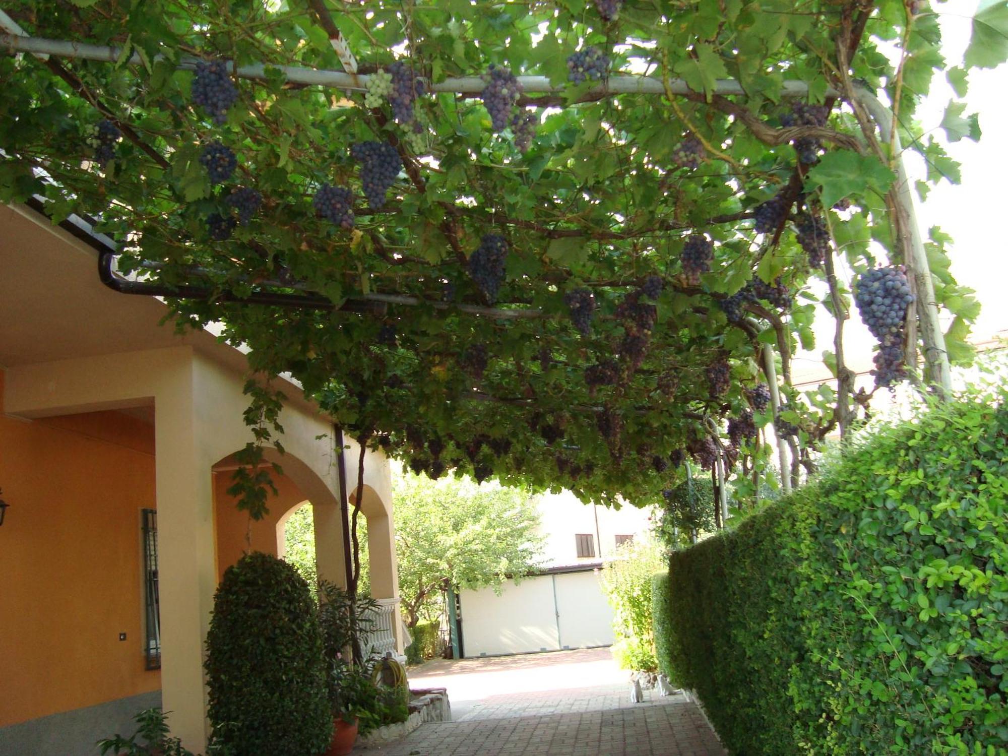 Bed & Breakfast Esperanca Frascineto